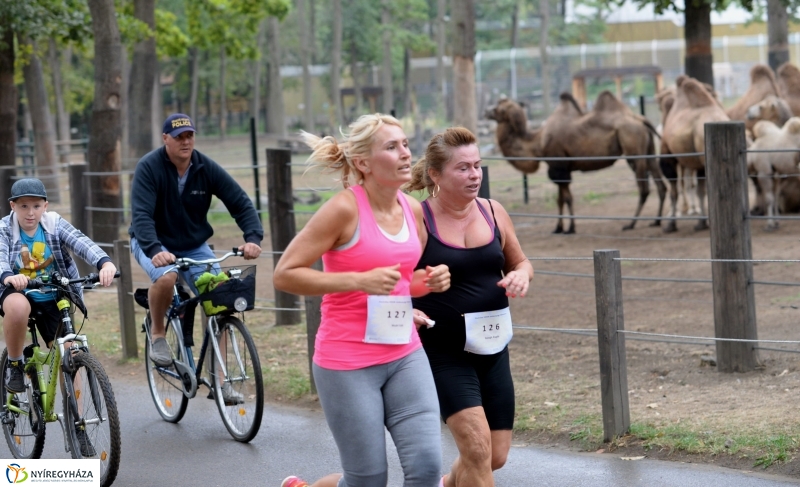 Electrolux Vidor futás 3