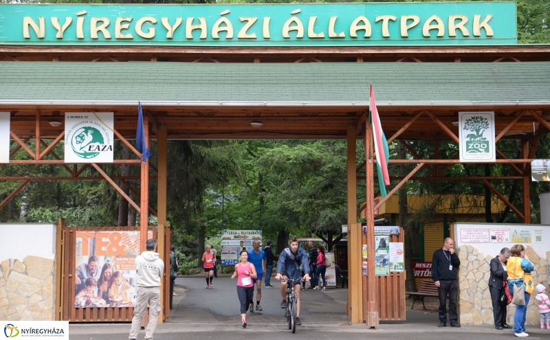 Electrolux Vidor futás 3