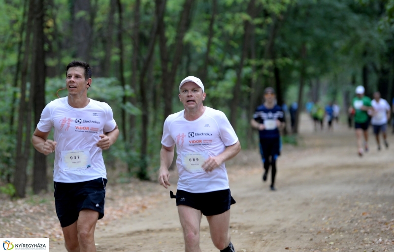 Electrolux Vidor futás 3