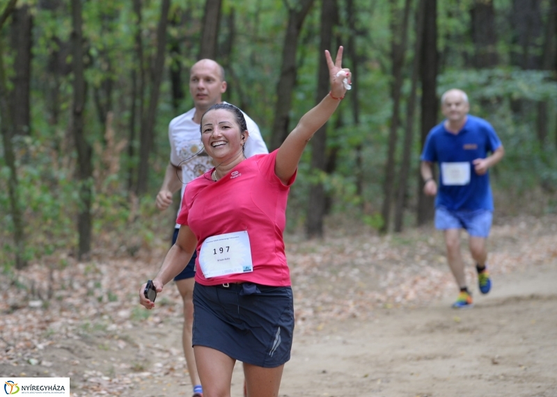 Electrolux Vidor futás 4