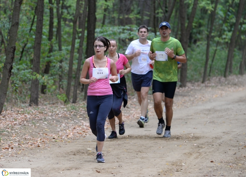 Electrolux Vidor futás 4