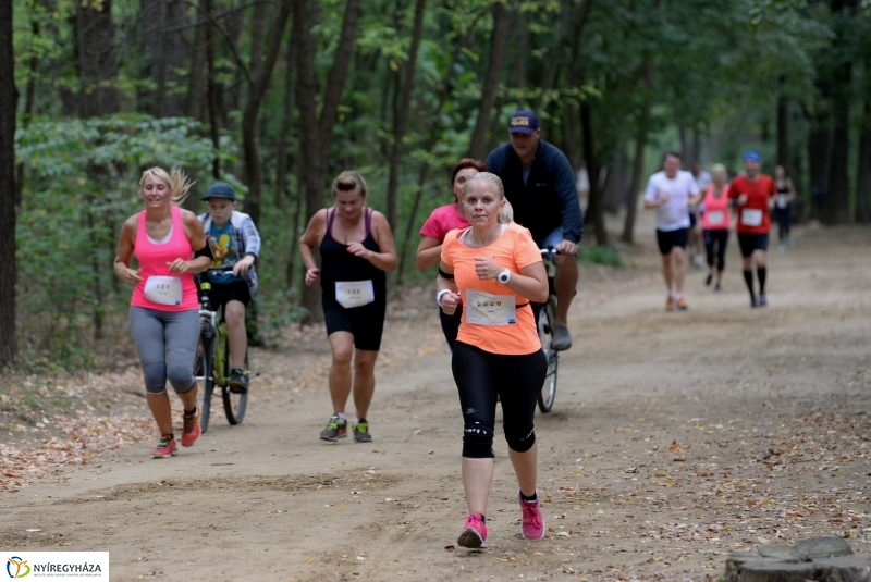 Electrolux Vidor futás 4