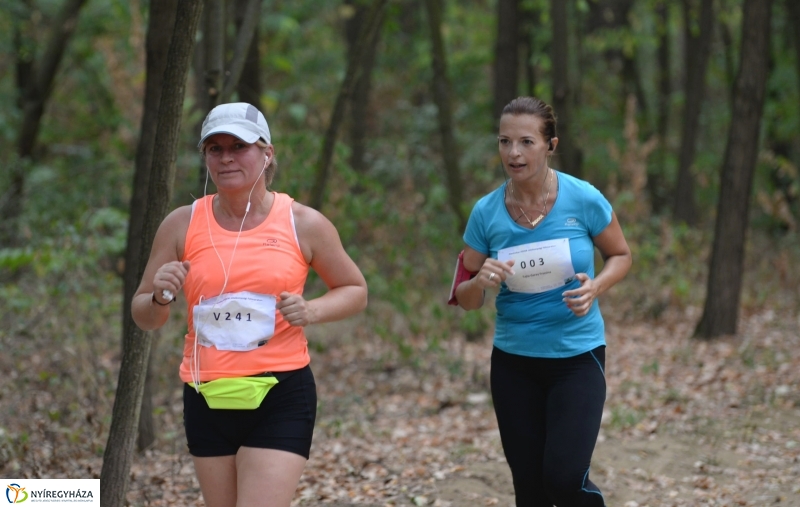 Electrolux Vidor futás 4