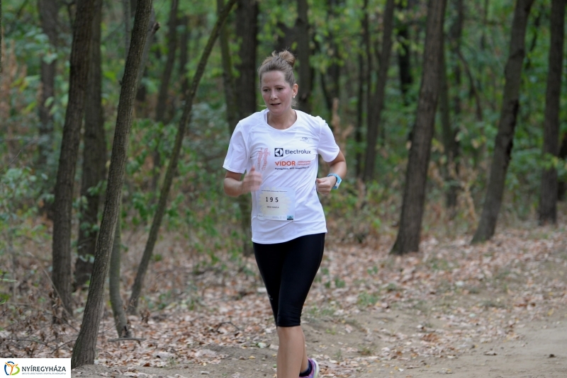 Electrolux Vidor futás 4