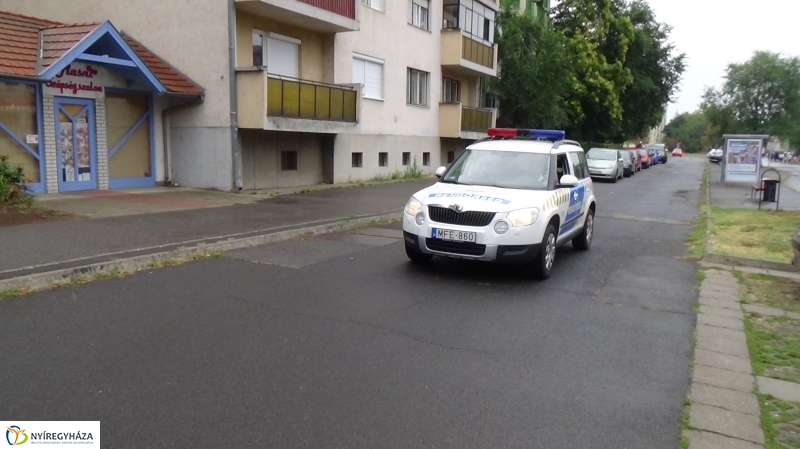 Electrolux VIDOR Futás 14