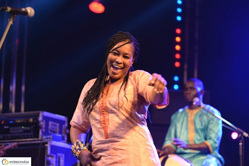 VIDOR pillanatok 2015.