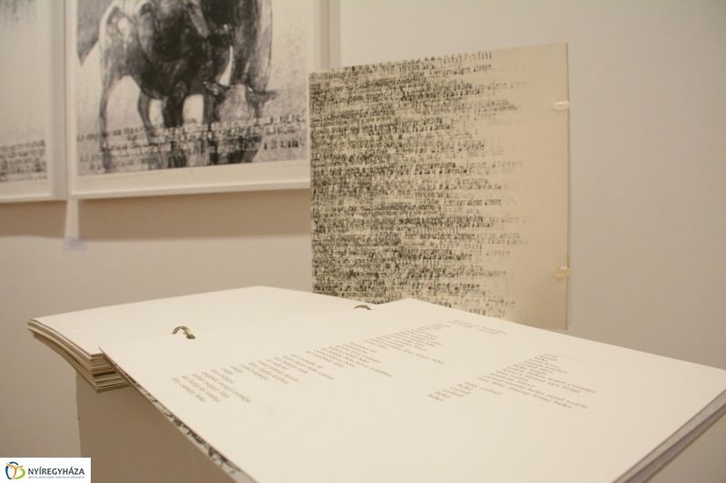 Kiállítás megnyitó