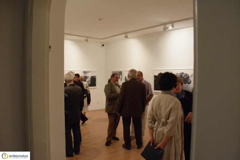 Kiállítás megnyitó
