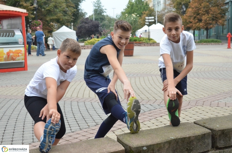 Electrolux VIDOR Futás 15