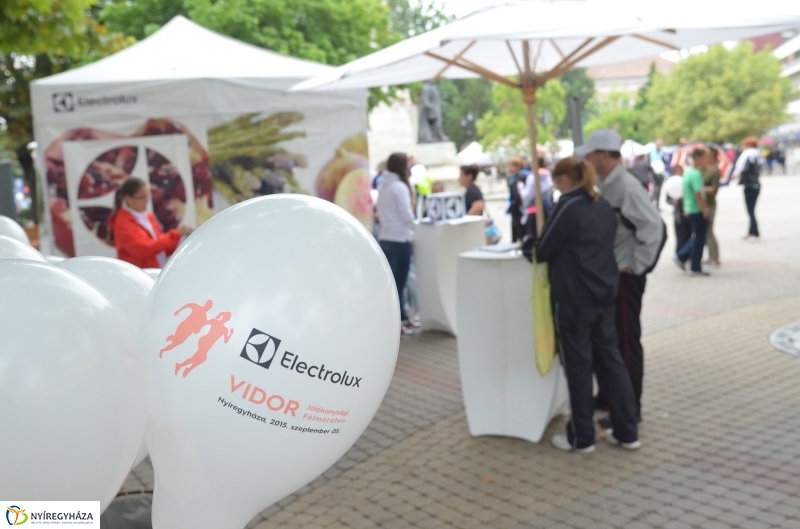 Electrolux VIDOR Futás 15