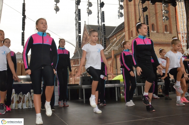 Electrolux VIDOR Futás 15