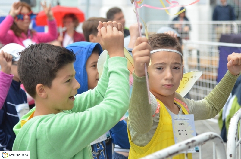 Electrolux VIDOR Futás 15