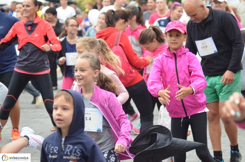 Electrolux VIDOR Futás 15