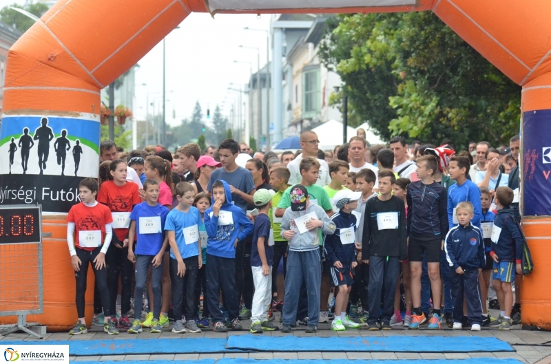 Electrolux VIDOR Futás 15