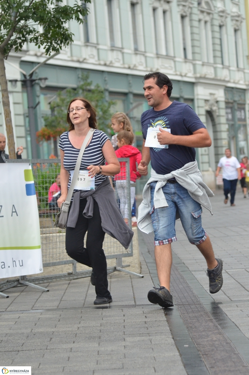 Electrolux VIDOR Futás 17