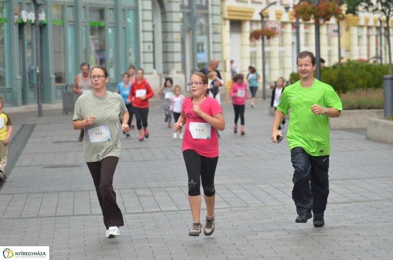 Electrolux VIDOR Futás 17