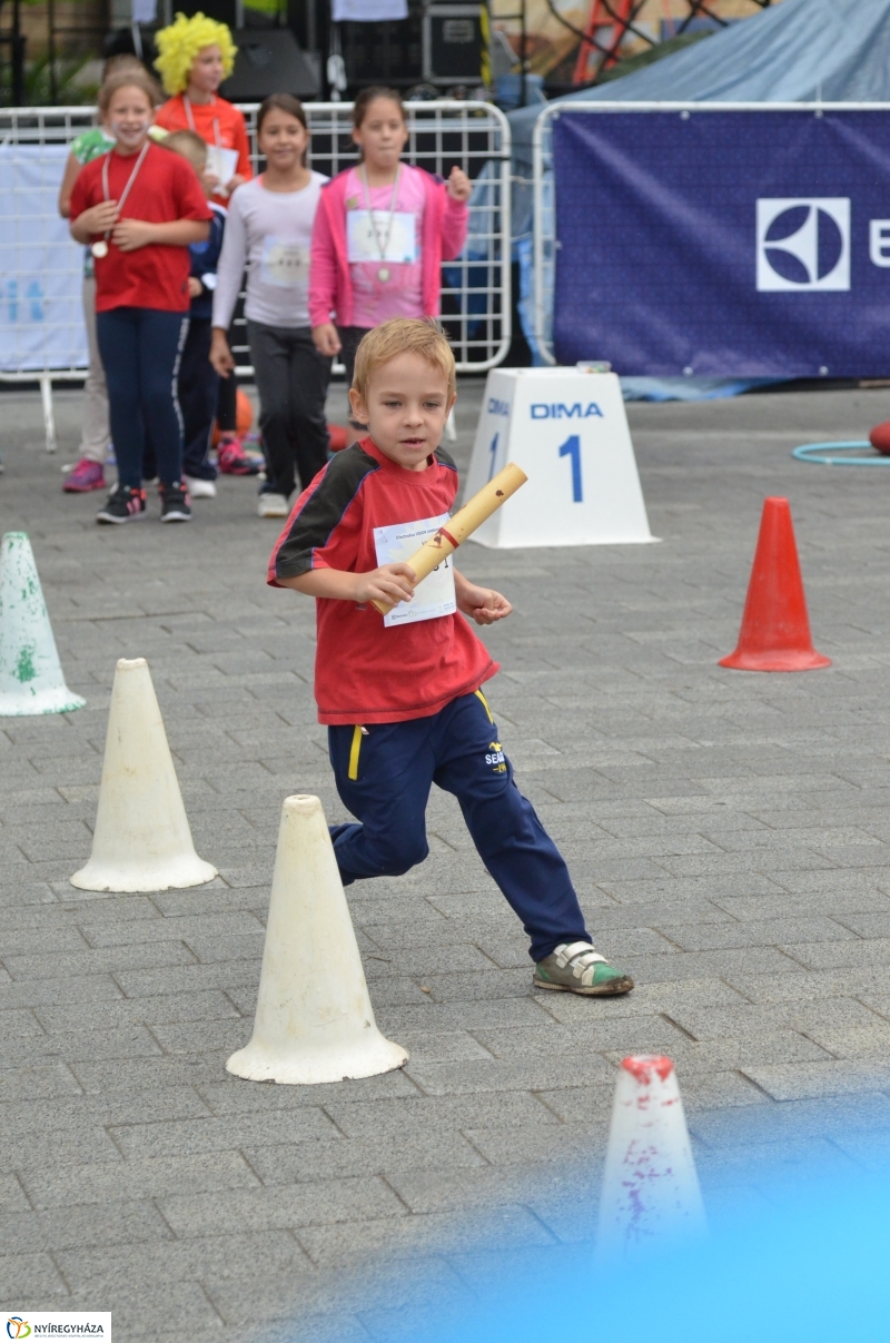 Electrolux VIDOR Futás 18