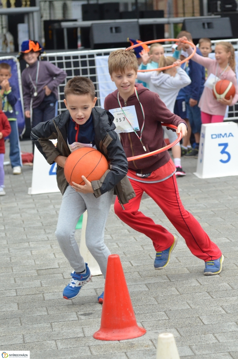 Electrolux VIDOR Futás 18