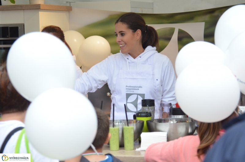 Electrolux VIDOR Futás 18