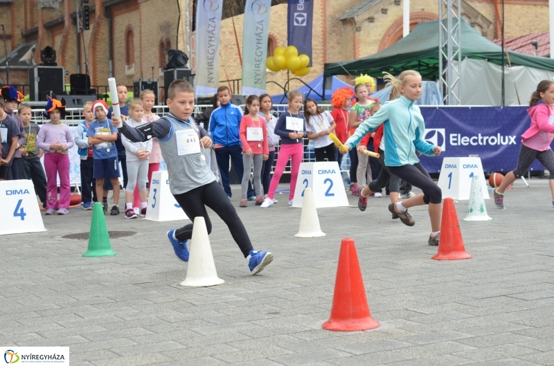 Electrolux VIDOR Futás 18