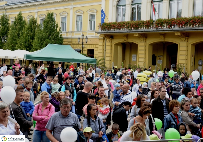 Szelektív Szombat a Kossuth téren 1