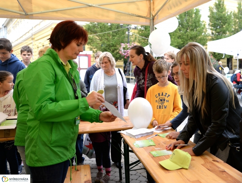 Szelektív Szombat a Kossuth téren 1