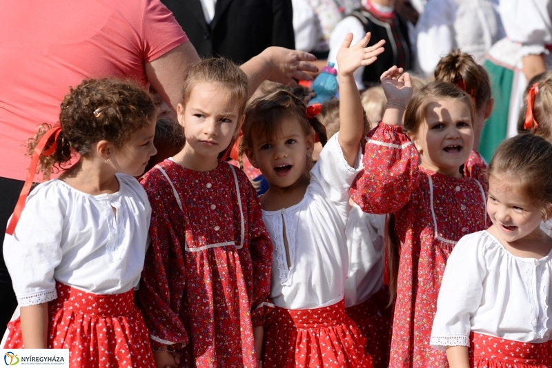 Tirpák fesztivál 1