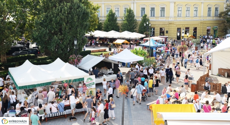 Tirpák fesztivál 1