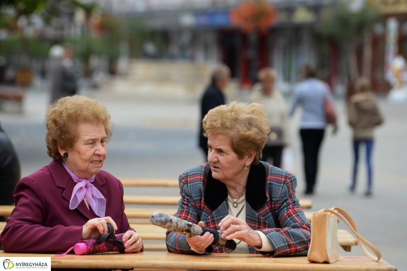 Szív Világnapja a Kossuth téren