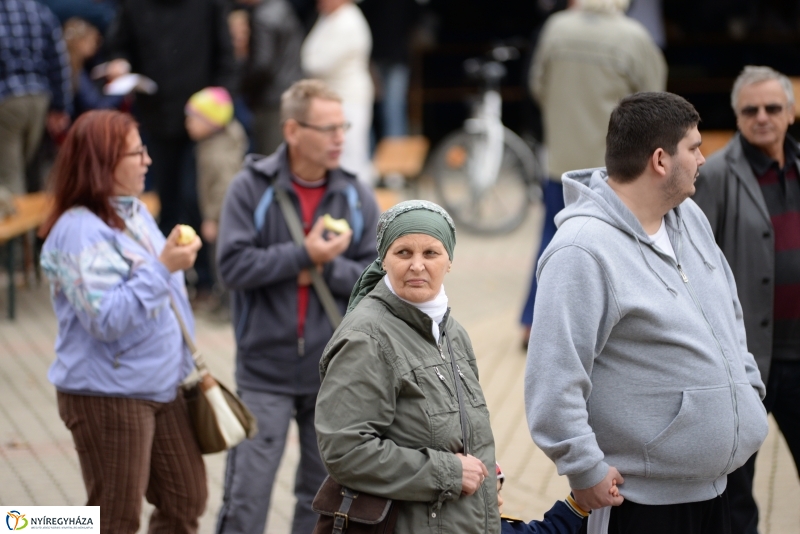 Szív Világnapja a Kossuth téren