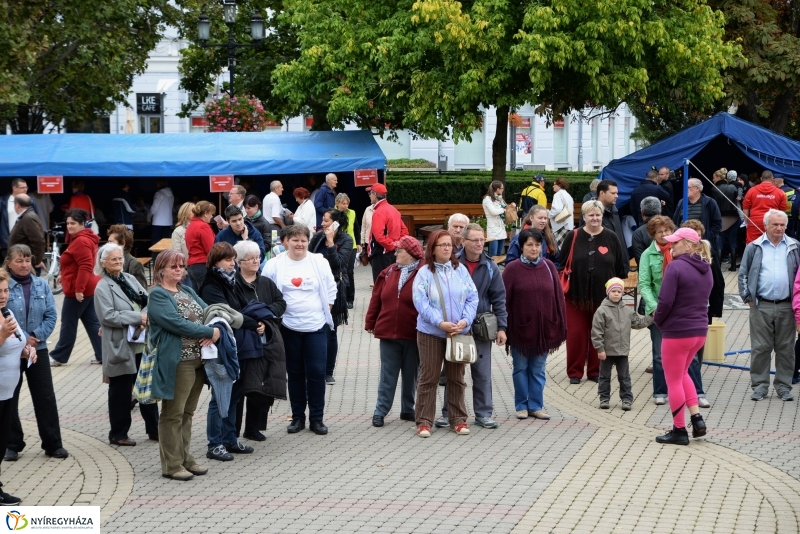 Szív Világnapja a Kossuth téren