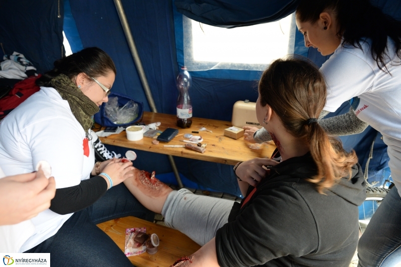 Szív Világnapja a Kossuth téren