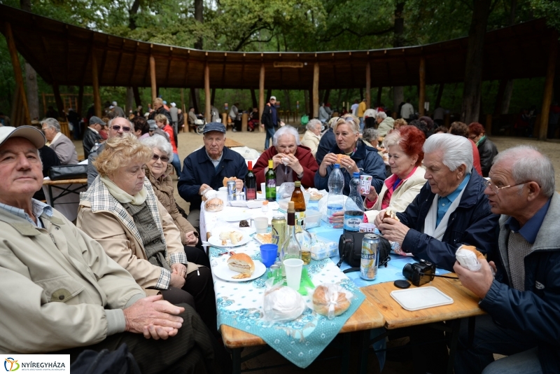 Nyugdíjas találkozó az Erdei Tornapályán