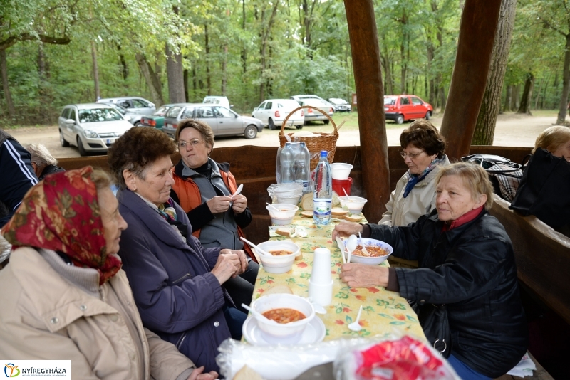 Nyugdíjas találkozó az Erdei Tornapályán