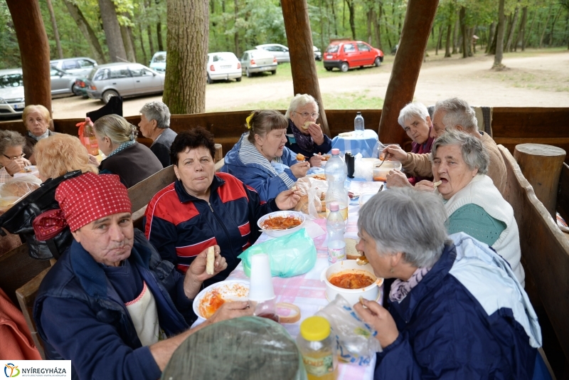 Nyugdíjas találkozó az Erdei Tornapályán
