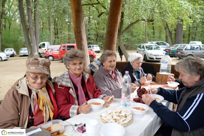 Nyugdíjas találkozó az Erdei Tornapályán