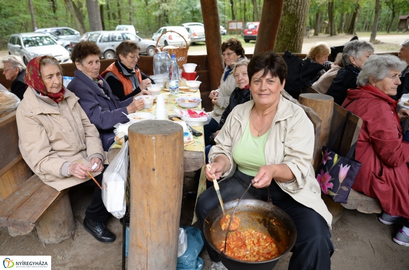 Nyugdíjas találkozó az Erdei Tornapályán