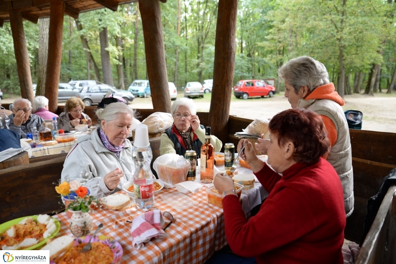 Nyugdíjas találkozó az Erdei Tornapályán