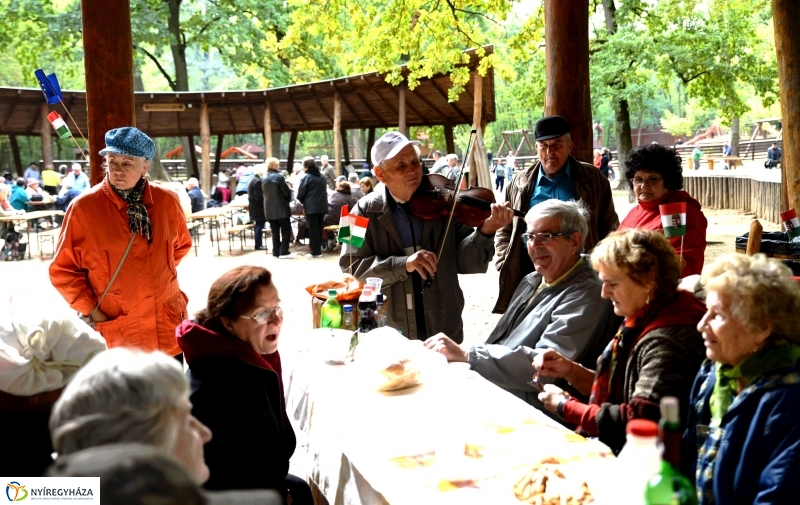 Nyugdíjas találkozó az Erdei Tornapályán