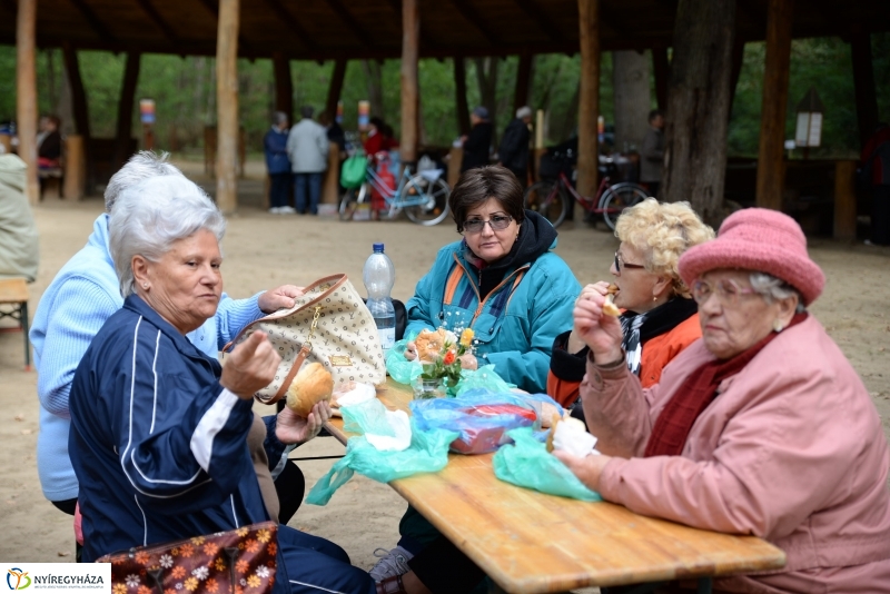 Nyugdíjas találkozó az Erdei Tornapályán