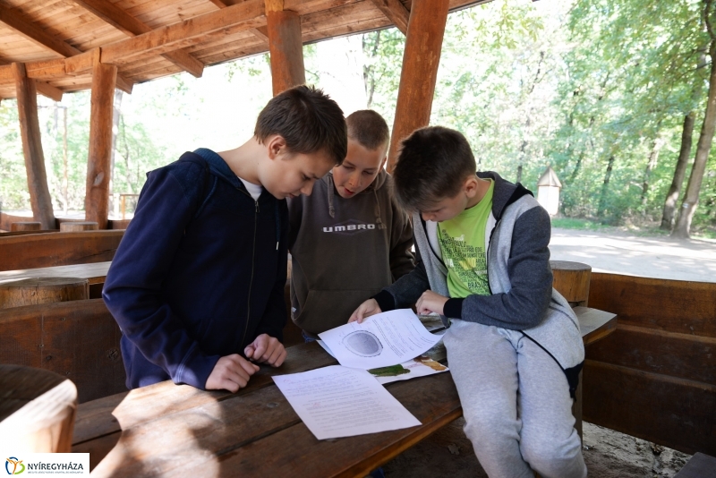 Erdőismereti verseny a Sóstói erdőben