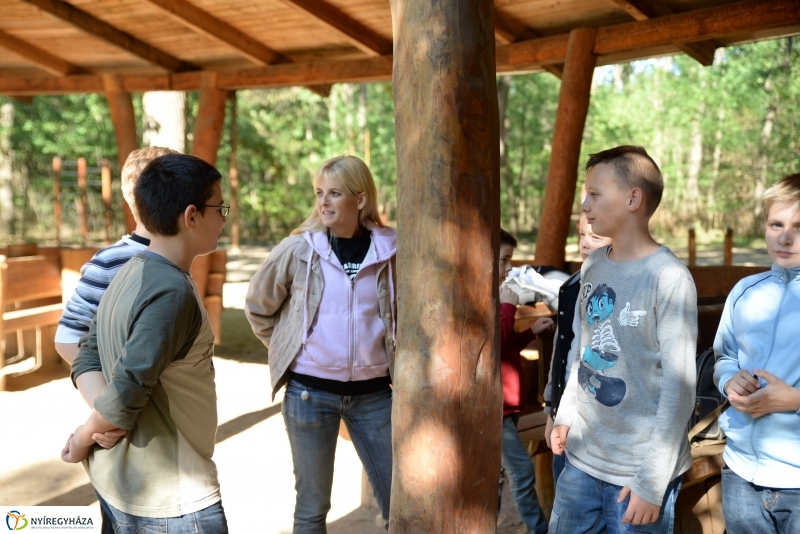 Erdőismereti verseny a Sóstói erdőben