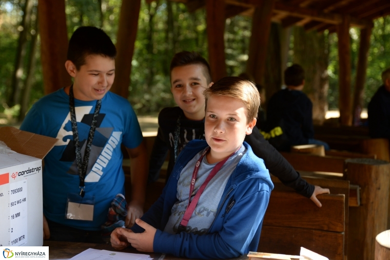 Erdőismereti verseny a Sóstói erdőben