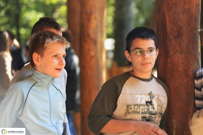 Erdőismereti verseny a Sóstói erdőben