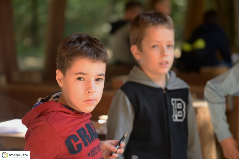 Erdőismereti verseny a Sóstói erdőben