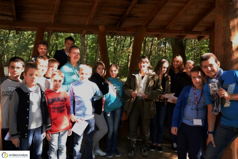 Erdőismereti verseny a Sóstói erdőben