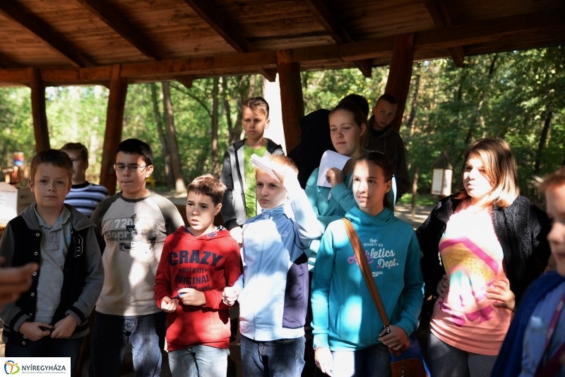 Erdőismereti verseny a Sóstói erdőben