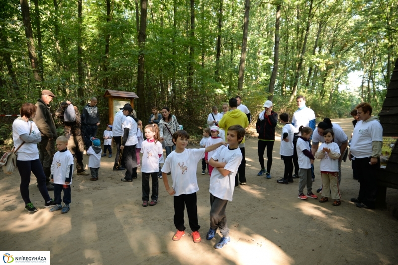 Nyírerdő nap a tornapályán