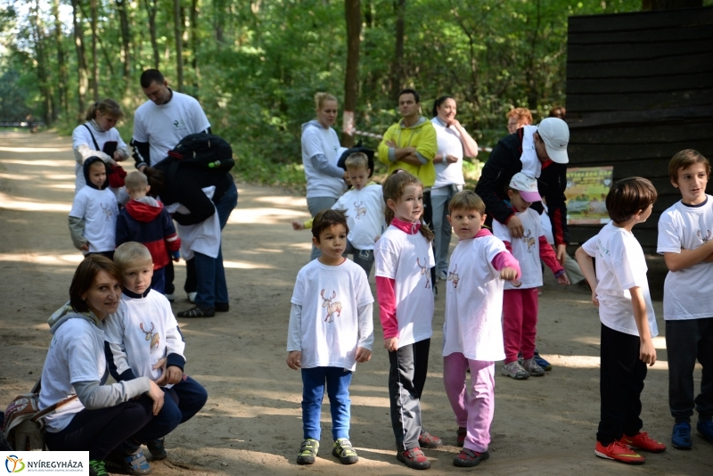 Nyírerdő nap a tornapályán
