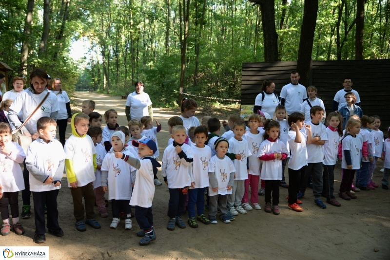 Nyírerdő nap a tornapályán